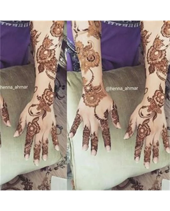 Cultural Arch And Medallion Along Arabic Mehndi Design