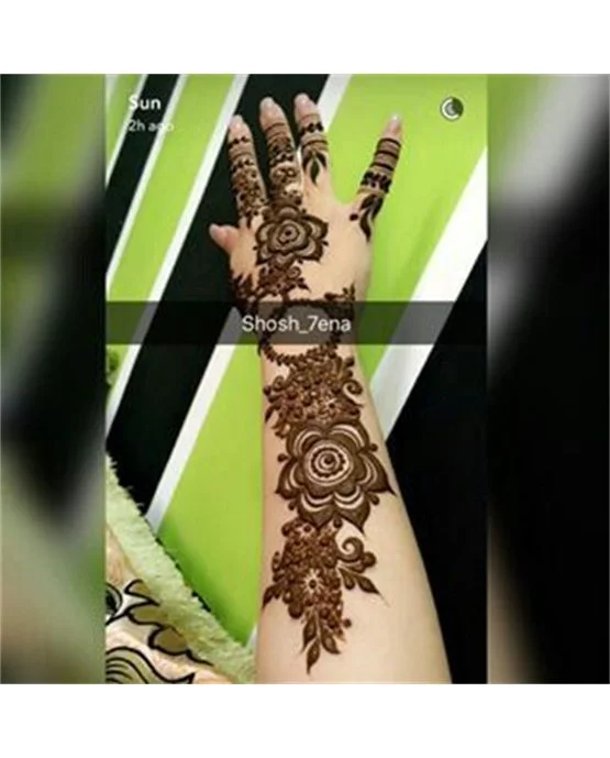 Delicate Harmony Blending Into Creeper Arabic Mehndi Design