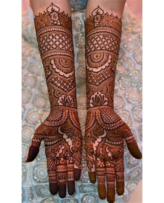 Fusion Sketch Idea On Bridal Mehndi Design